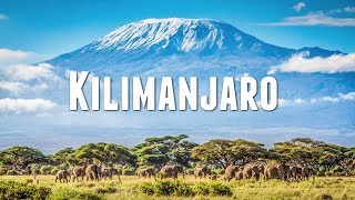 CLIMBING MOUNT KILIMANJARO [upl. by Arataj]