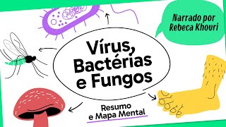 VÍRUS BACTÉRIAS E FUNGOS  BIOLOGIA  Mapa Mental  Quer Que Desenhe [upl. by Silma]