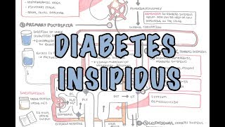 Diabetes Insipidus  Overview causes pathophysiology investigations [upl. by Astto]