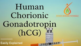 Human Chorionic Gonadotropin  HCG  Hindi Explanation  Value  Functions [upl. by Udela]