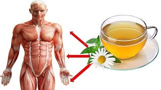 Have Chamomile Tea Before Bed And Youll Wake Up With These 7 Amazing Benefits [upl. by Winou]