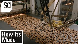 How Its Made Almonds [upl. by Walters282]