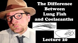 Lecture 20 The Difference between Lung Fish and Coelacanths [upl. by Ewens]