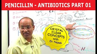 Penicillin  Antibiotics  Dr Najeeb  Part 14 [upl. by Eelana419]