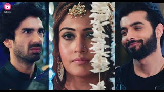 Naagin 3 Cast Comes Together For Finale Episode  Arjun Bijlani Mouni Roy Adaa Khan [upl. by Lenny]