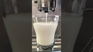 How To Solve The Issue With Your Jura end 9 Milk Frother System No Longer Frothing Part 2of 2 [upl. by Aylsworth932]