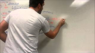 Easy Glycolysis Pathway [upl. by Baudin]