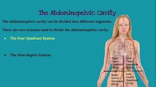 CHAPTER 1 Introduction to Anatomy and Physiology [upl. by Rachel]