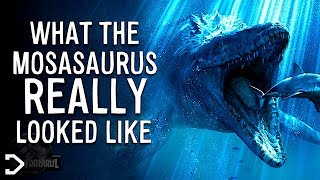 What Did The Mosasaurus REALLY Look Like [upl. by Uolyram]