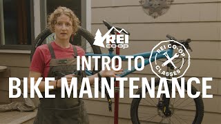 Intro to Bike Maintenance — REI Coop Classes [upl. by Nemlaz]