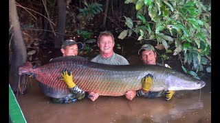 ARAPAIMA PARADISE LODGE  BOLIVIA [upl. by Iralav245]