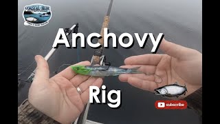 How to build an anchovy rig  Rhys Davis [upl. by Phionna229]