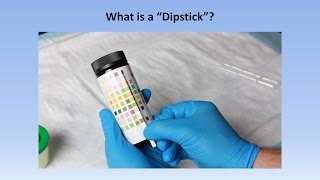 Interpretation of the Urinalysis Part 2  The Dipstick [upl. by Sorel]