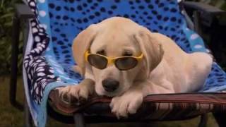 Marley and Me The Puppy Years Official Trailer [upl. by Edwina]