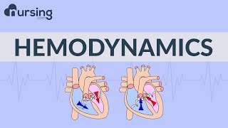 The Basics of Hemodynamics Nursing School Lessons [upl. by Estrella575]