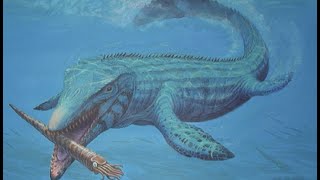 Facts The Mosasaur [upl. by Mcnally5]