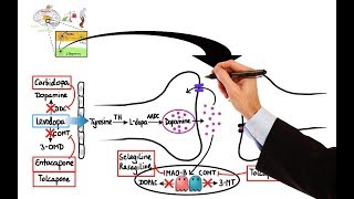 Pharmacology  DRUGS FOR PARKINSONS DISEASE MADE EASY [upl. by Bettye]