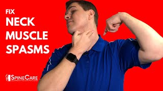 How to Treat Neck Spasms in 1 MINUTE [upl. by Anavrin]