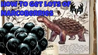 ArkSurvival Evolved How To Get Lots Of NarcoBerries Fast [upl. by Rebbecca475]