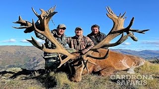 World Class New Zealand Red Stag Hunting With Venator Cardrona Safaris [upl. by Mosera]