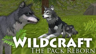 Rebirth of a Wolf Named Lynx 🌿 WildCraft The Pack Reborn • 1 [upl. by Ardnikat]