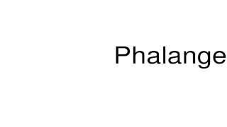 How to pronounce Phalanger [upl. by Miun]