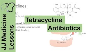 Tetracycline Antibiotics [upl. by Adler342]