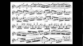 Tsjaikovski PI mvt1 begin violin concerto [upl. by Patric]