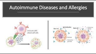 Autoimmune Diseases and Allergies [upl. by Grant]