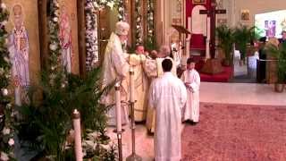 Ordination of a Deacon [upl. by Nac805]