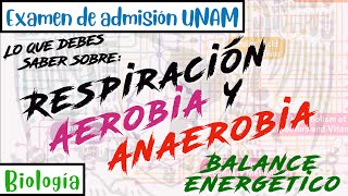 Respiración aerobia y anaerobia Balance energético  Biología UNAM [upl. by Lucias]