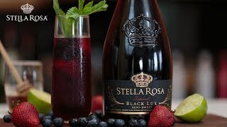 Stella Rosa® Taste The Magic® Commercial [upl. by Esilanna390]