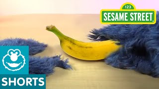 Sesame Street Unboxing a Banana with Cookie Monster [upl. by Anorahs]