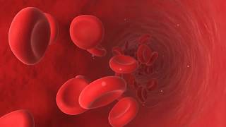 Red blood cells Animation [upl. by Zeeba]