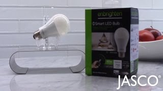 ISFTS The New Enbrighten ZWave Plus Smart Light Bulb [upl. by Obrien474]