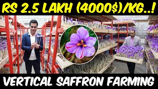 Vertical Saffron Farming  Indoor Hydroponic Saffron Cultivation  How to grow Saffron [upl. by Wakerly]