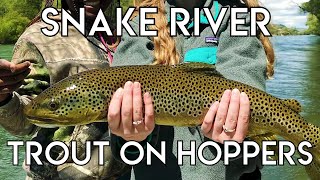 Epic Snake River Hopper Fishing [upl. by Millisent265]