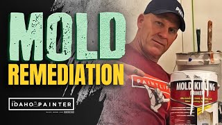 Mold Remediation How to Get Rid of Mold [upl. by Cony221]