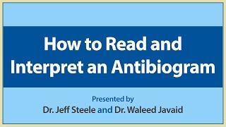 How to Read and Interpret an Antibiogram [upl. by Yetta]