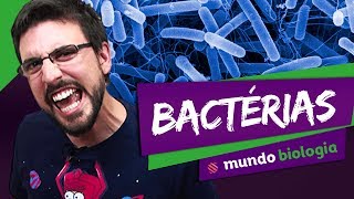 🦠 Microbiologia 25 Bactérias  Biologia  ENEM [upl. by Notnilc114]