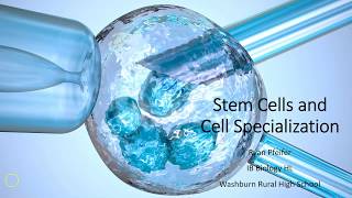 Stem Cells and Cell Specialization [upl. by Vivianne]