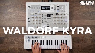 Waldorf Kyra Virtual Analog Synthesizer Sounds [upl. by Lidstone]