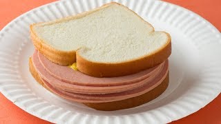 The Truth About Bologna Meat Finally Revealed [upl. by Aimahs254]