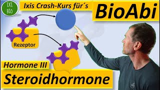 Hormone 3 Steroidhormone  Wirkungsweise im Detail Vergleich von hydrophilen  hydrophoben Hormonen [upl. by Nnylav]