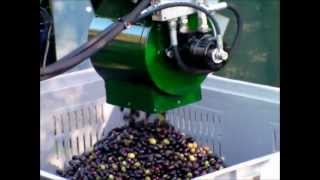 Aspiratore olive CRF da bins 2012wmv [upl. by Moureaux]