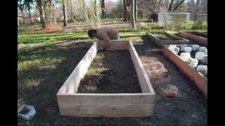 How to build raised beds for CHEAP  MIgardener [upl. by Hcire587]