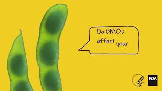 Do GMOs Affect Your Health [upl. by Reeta451]