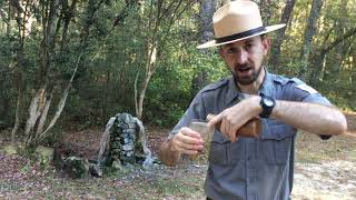 Learn How An Artesian Well Works at Aiken State Park [upl. by Odnumde]