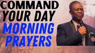 dr dk olukoya  Command Your Day With This Morning Prayers [upl. by Lauhsoj]