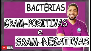 BACTÉRIAS Gram POSITIVAS e Gram NEGATIVAS I MICROBIOLOGIA I Prof Michael Bryan [upl. by Namlaz]